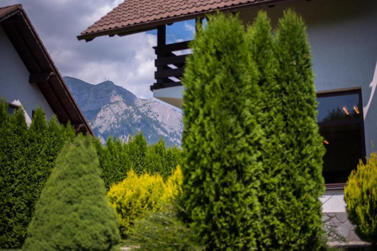 Jack Residence Buşteni Exterior foto
